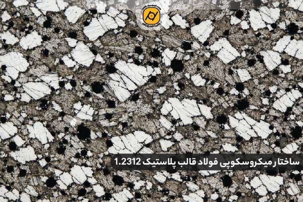 سخت کاری تسمه فولاد قالب پلاستیک 2312